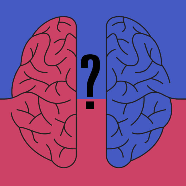 Illustration of two brain halves with a question mark in between